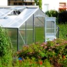 Ilustrasi greenhouse dengan atap plastik uv terbaik (pixabay)