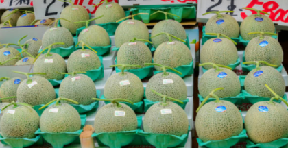 Melon Yubari King (Source/Pixabay)
