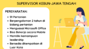 Supervisor Kebun-PT. INDO REMPAH LESTARI