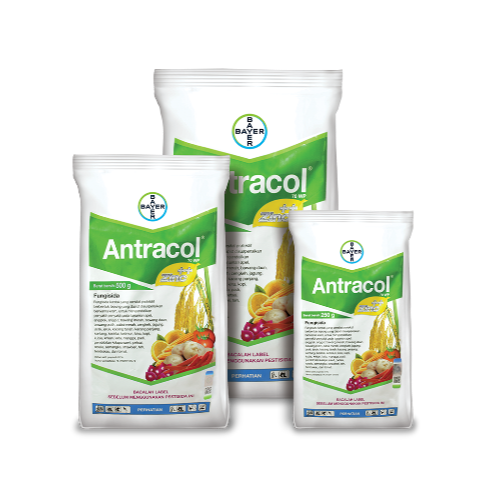 Bahan aktif Antracol
